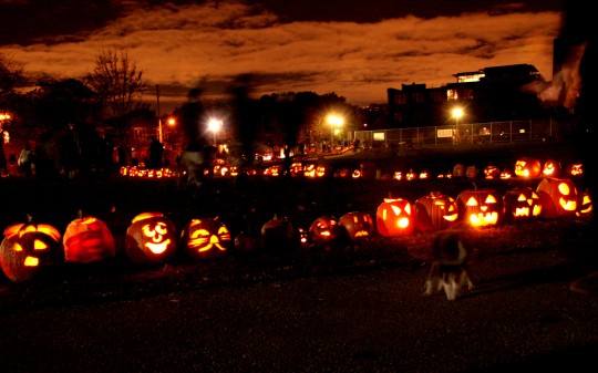 Photo of hundreds of lit jack-o-lantern pumpkins lining the path at Sorauren Avenue Park, Toronto